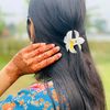 jara.moni5058