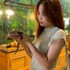 hanquoc.mauhong0