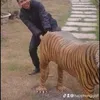 trung.nguyenvan250