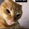 ab_rere_19