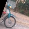 keawalin59