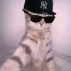 haimaalbani6