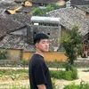 dotaiphong