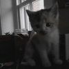 milaaa.lovvve