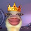 sinvir_sinvir