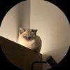 chamber_jennifer6