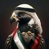 shabir.khan9708