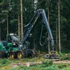 scotlandforestry