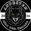 andestem8