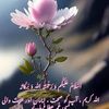 zain.zain1118