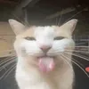 rizoovveey