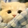 kh.nqoc__