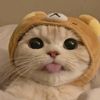 user9541830511184