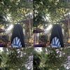 Safir