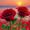 sayalsahaib86