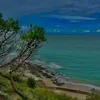 clara_20233