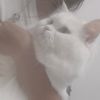 save_myself02082025