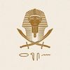 ahmed.aziz804