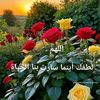 user4390676191358