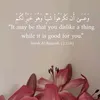 user4038132405795