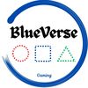 BlueVerse Gaming