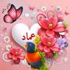 user4432365621312