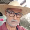 jos.pimentel435