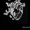 nour87445