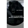 lobo459