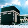 menna.ahmed31752