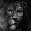 sonsofyeshua