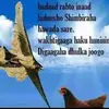zeinab.omar900