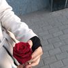 yasmine0427