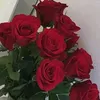 user9101365791652