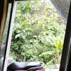 dinda.senja73