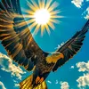 tanveer.bhati22