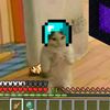 fernando.yaez018