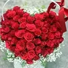 hoa.hng.gai3657