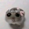 pixiehollow.55555
