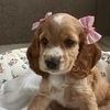 rylee_8055