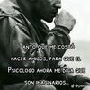 danieltorres7860