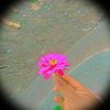 jineshrai7