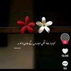syed.konain.raza.k