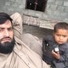 gul.din564