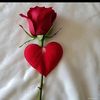 user5435719800141