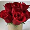 faraz.ali628