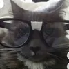 thea_thesillyseal
