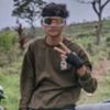 pansoftspoken11