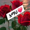 user70543767994511