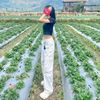 onetwo_three07